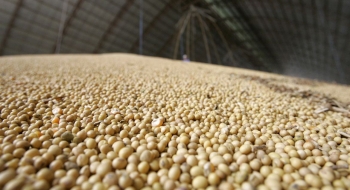 IBGE prevê safra recorde de 258,5 milhões de toneladas em 2021